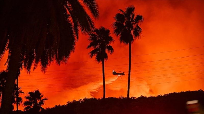 Dünya Meteoroloji Örgütü: Avrupa'daki orman yangınları insan kaynaklı