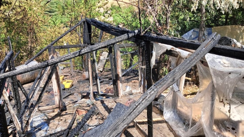 Ankara'da yangın paniği: 33 kanatlı hayvan telef oldu