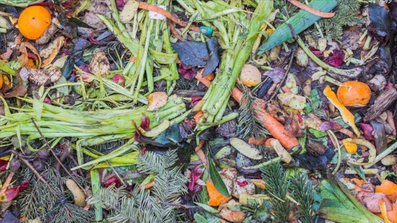 Sıfır Atık Vakfı: İsrafın maliyeti 100 milyar lira