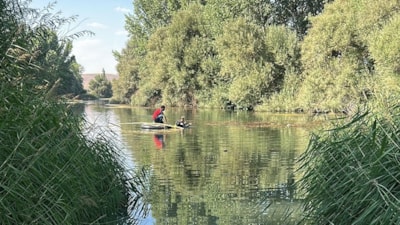 Ceyhan Nehri'nde balık tutarken suya düşen genç yaşamını yitirdi