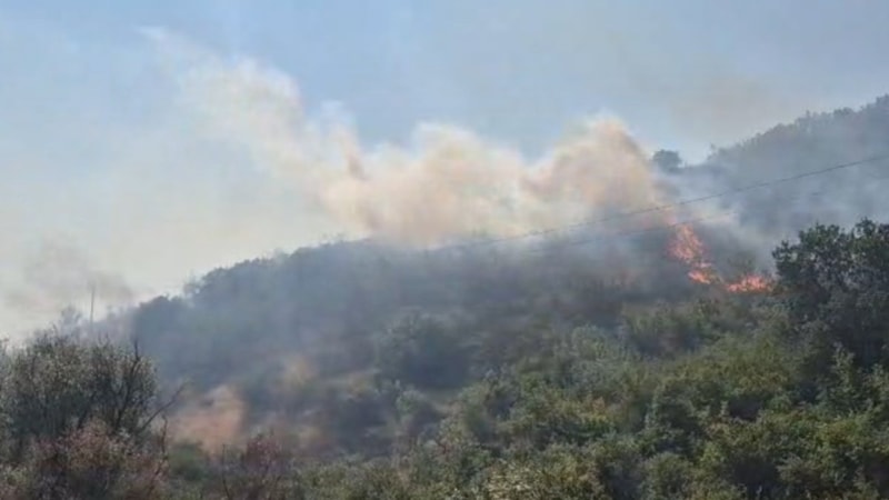 Balıkesir’de otluk ve makilik alanda yangın çıktı