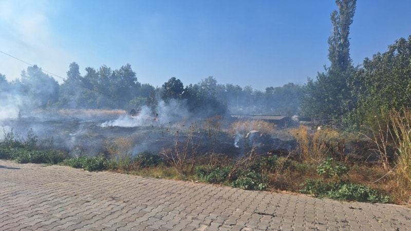 İzmir'de sazlık alanda yangın