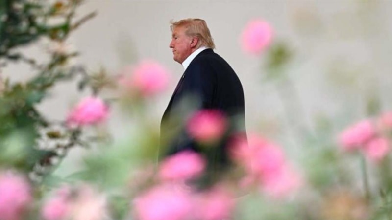 Kamboçya, Donald Trump'ı Nobel Barış Ödülü'ne aday gösterdi