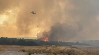 Çanakkale'de orman yangını: Alevler hastaneye yaklaştı