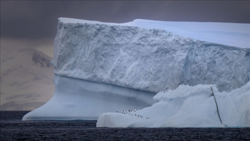 'Kutup Bölgeleri Koordinasyon Kurulu' kuruldu