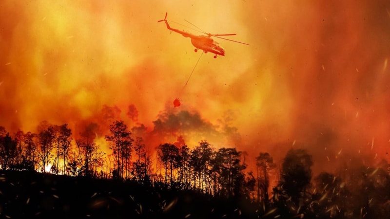 Orman yangınlarına karşı tedbirler artırıldı