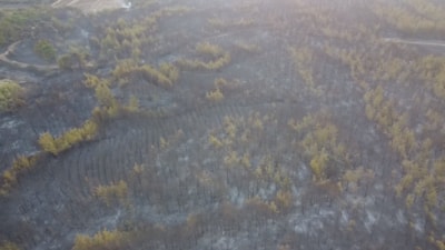 Çanakkale'de yanan alanlar havadan görüntülendi