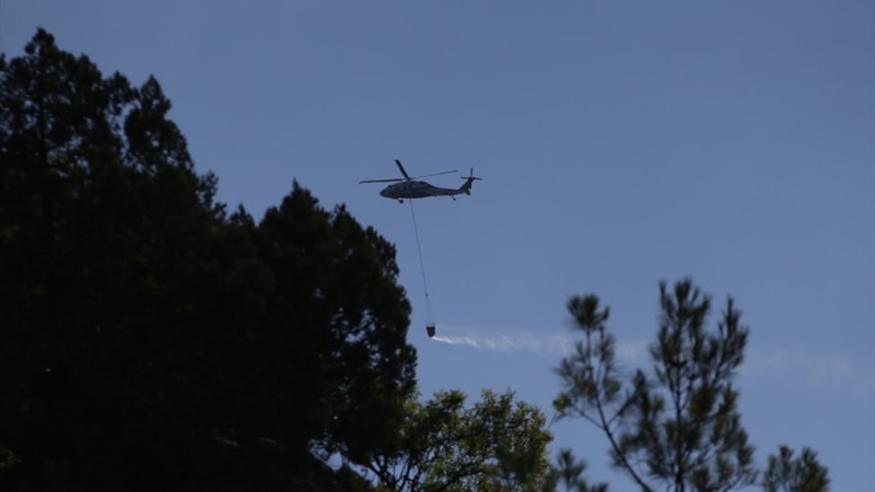 Sinop'ta çıkan orman yangınına müdahale ediliyor