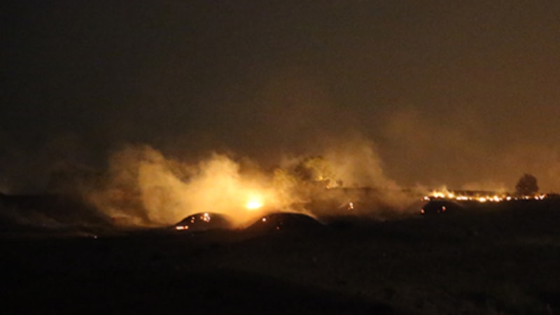 Diyarbakır'daki orman yangını söndürüldü