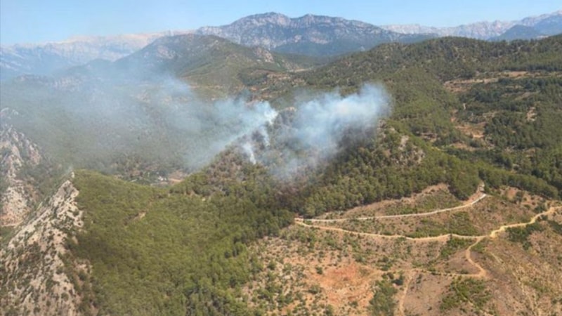 Mersin'de orman yangını