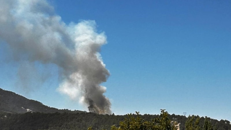 Denizli'de çıkan orman yangını kontrol altında