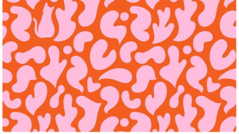 Gizli Kedi İllüzyonu: IQ'nuzu Öğrenmek İçin 5 Saniye Verin...