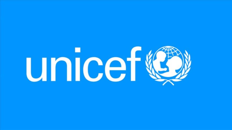UNICEF'ten Nijerya değerlendirmesi: 11 milyon çocuk yetersiz beslenme tehlikesiyle karşı karşı
