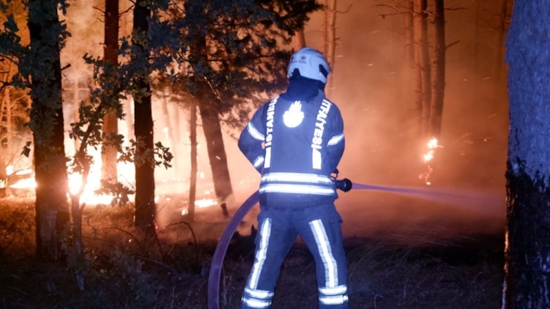 Edirne'de orman yangını: Köyler tahliye ediliyor