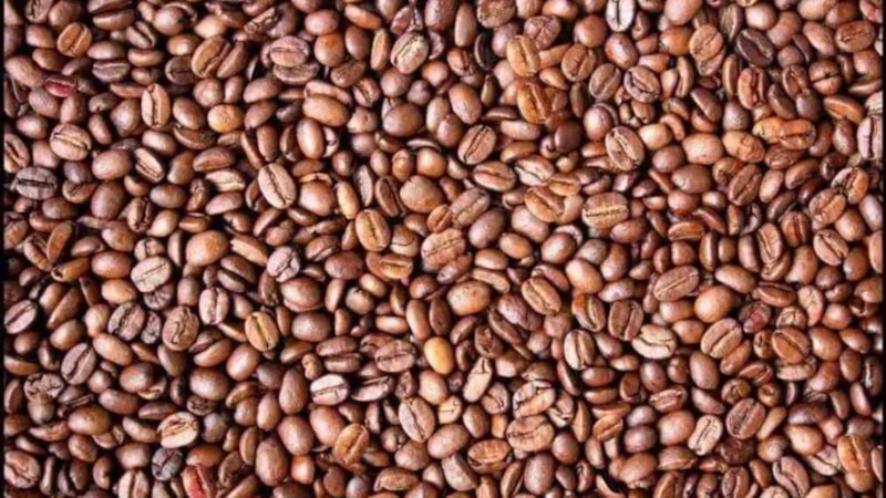 Beyninizi şaşırtacak illüzyon: Kahve çekirdeklerinde bir yüz gizleniyor...