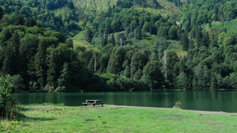 Doğallıkları büyülüyor: Türkiye'nin en yeşil şehirleri