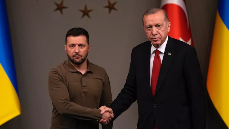 Cumhurbaşkanı Erdoğan, Vladimir Zelensky ile görüştü