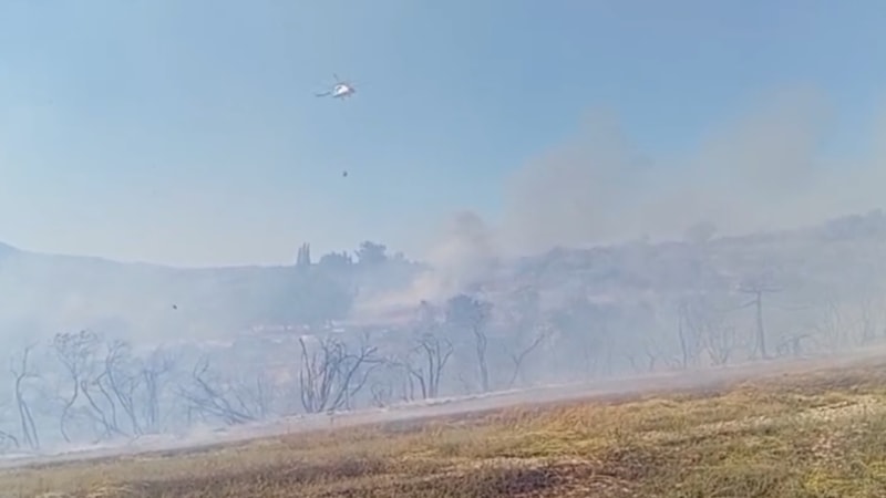 Osmaniye'de anız yangınında alevler makilik alana sıçradı