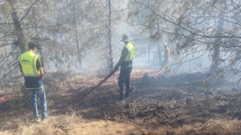 Gaziantep'te orman yangını paniği