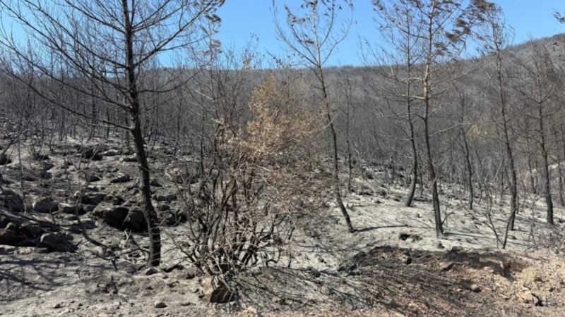 Soma yangınında 2 tutuklama