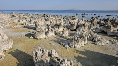 Van Gölü kuraklık ve susuzluk nedeniyle alarm veriyor