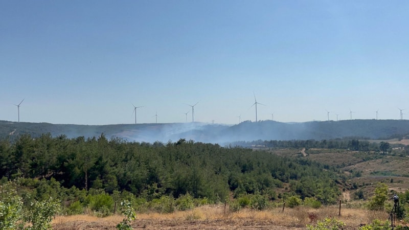 Çanakkale’deki orman yangınında son durum