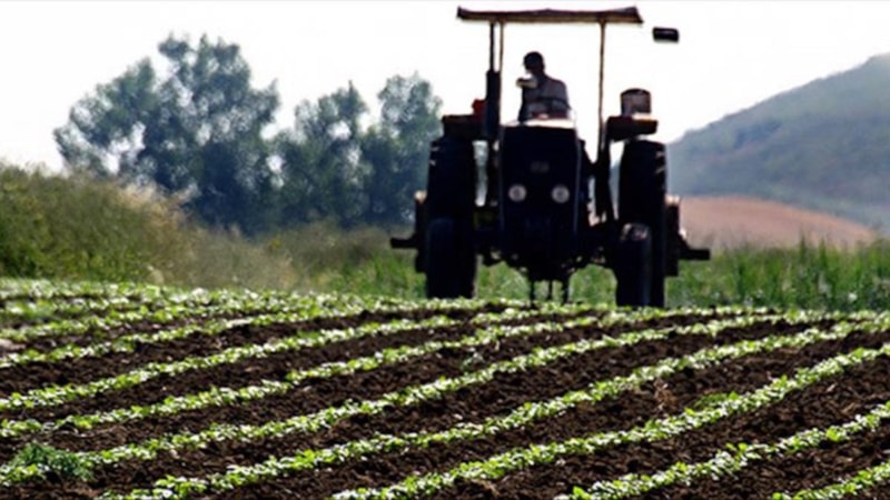 Tarım üreticisinin enflasyonu aylık yüzde 5,66 azaldı