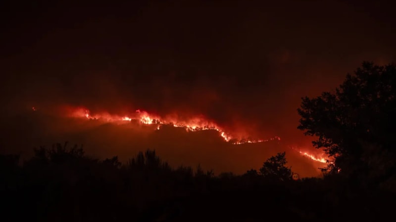 İspanya'da orman yangınları ile mücadele: Can kaybı 3'e yükseldi
