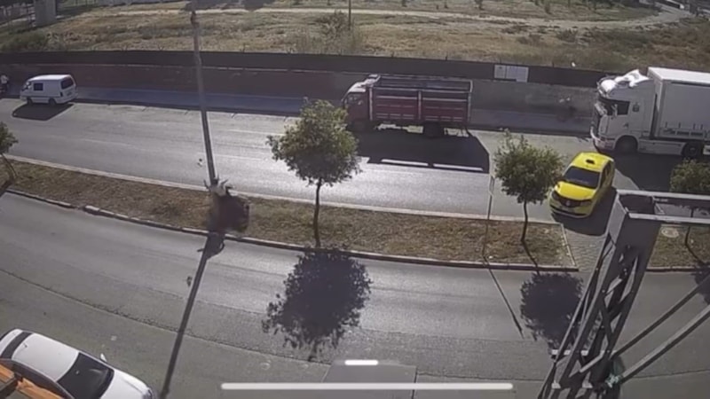 Adana'daki korkunç kazada kardeşi can verdi: Şoför yaptığı hata ile kardeşimi katletti