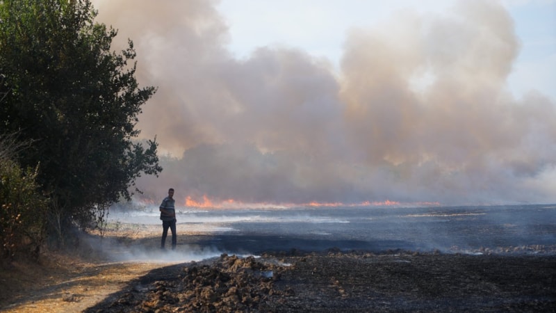 Edirne'de anız yangını: Alevler kontrol altında