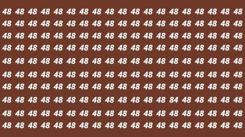 Görsel zeka testi: 48’lerin arasındaki 84’ü bulan sahi sayılıyor