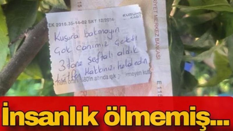 Bursa'da şeftali alan vatandaş çiftçiye mesaj bıraktı