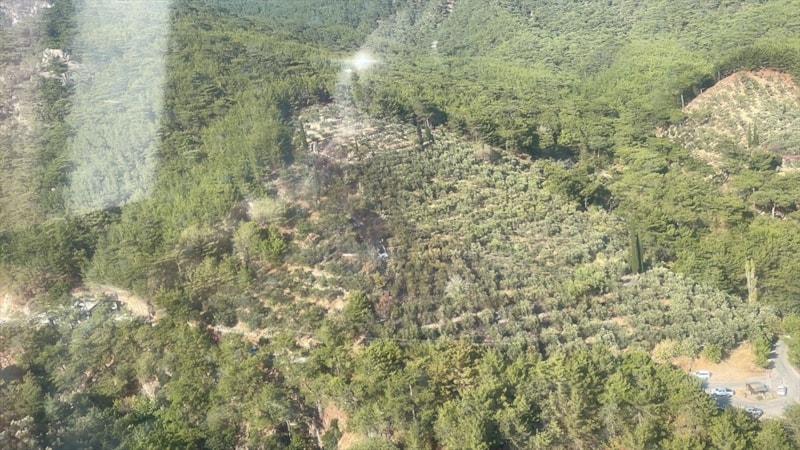 Kazdağları Milli Parkı'ndaki yangın kontrol altında