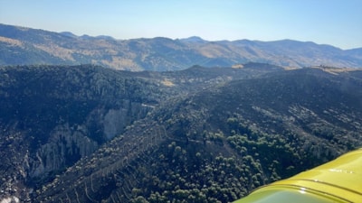 Afyonkarahisar'da çıkan örtü yangını kontrol altına alındı