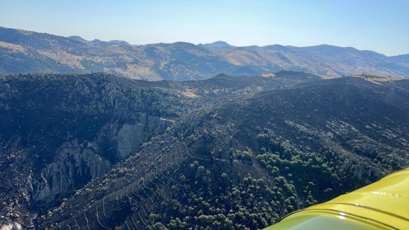 Afyonkarahisar'da çıkan örtü yangını kontrol altına alındı