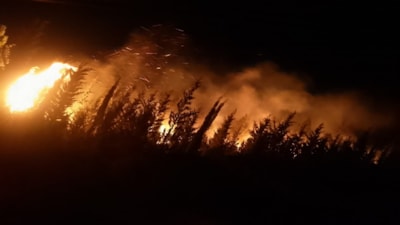 İzmir'in Urla ilçesinde çıkan yangın kontrol altına alındı