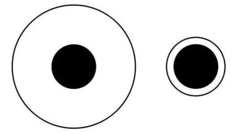 IQ sorusu: Hangi siyah daire daha büyük? 12 saniyeniz var