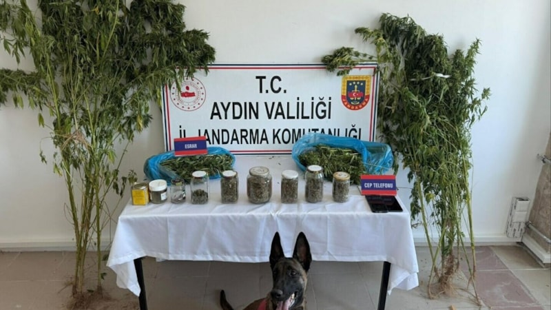 Aydın'da evinde uyuşturucuyla yakalanıp, tutuklandı