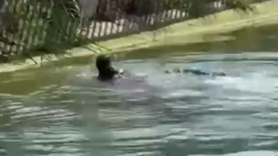 Adana'da sulama kanalında erkek cesedi bulundu