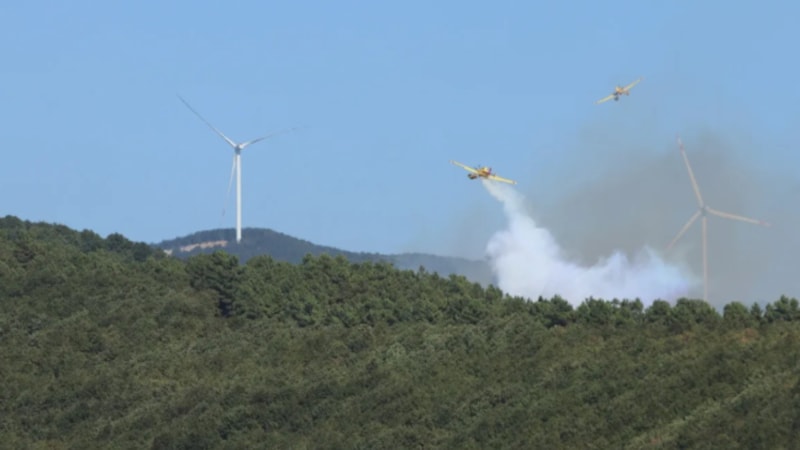 Kocaeli'de orman yangını kontrol altına alındı
