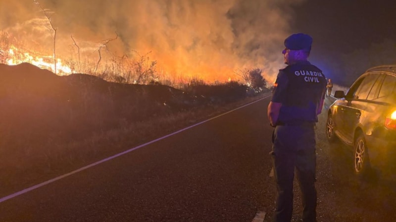 İspanya 14 farklı noktada orman yangını: 7 ölü