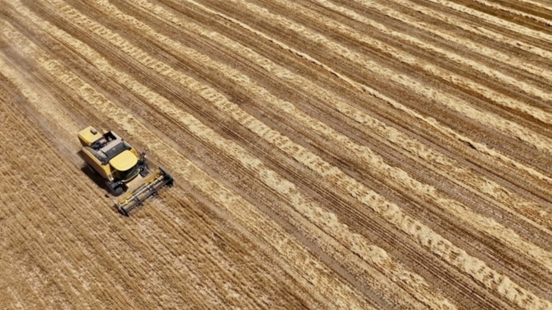 Tarım sayım seferberliğine çiftçilerin ilgisi yoğun