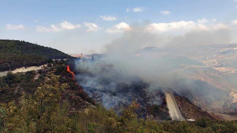 Hatay-Suriye sınırında çıkan orman yangınında son durum
