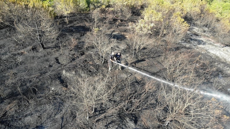 Kocaeli'deki orman yangınında son durum