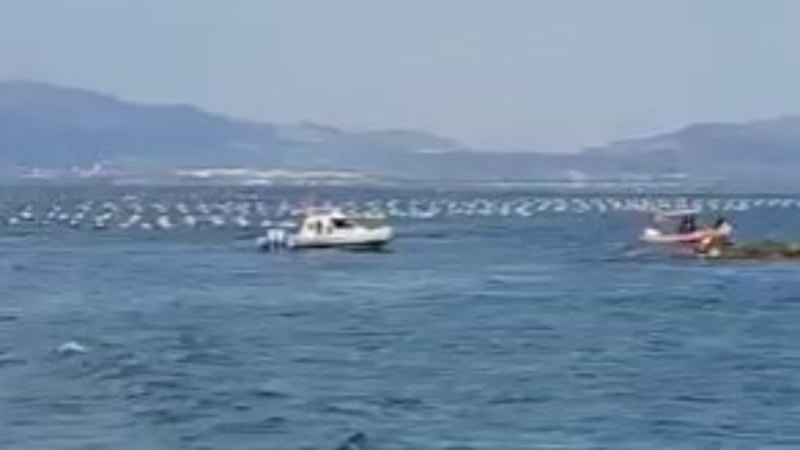 Bursa'da 'dalgıç boğuldu' paniği