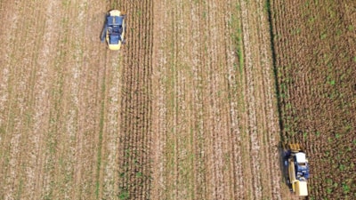 Osmaniye'de biçerdöverler mısır hasadı için tarlalara girdi