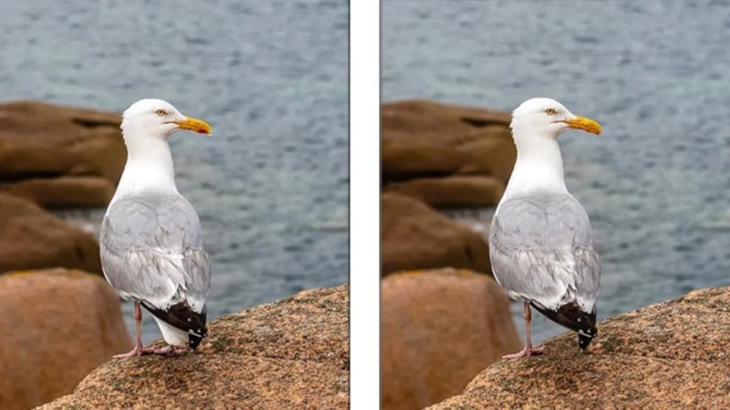 İki resim arasındaki 3 farkı 7 saniyede bulabilenler dahi sayılıyor! Süre başladı...