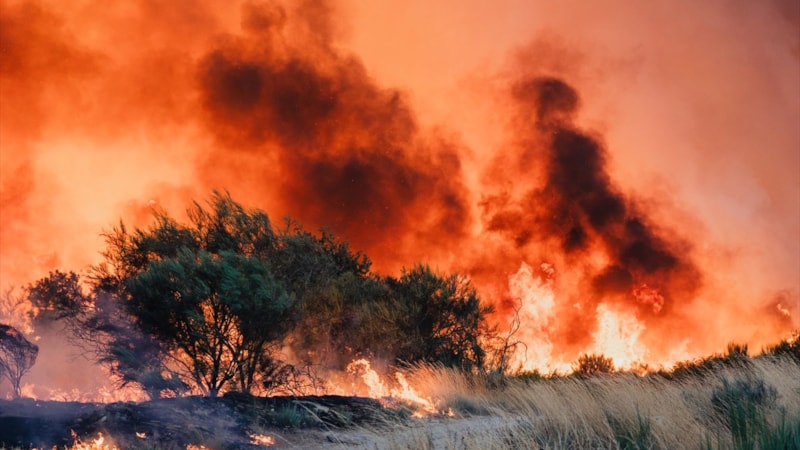 İspanya'da 344 bin hektardan fazla alan yandı