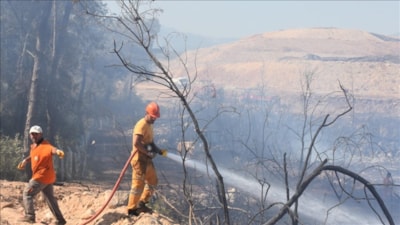 Antalya'daki orman yangınlarının yarısı kontrolsüz piknik kaynaklı