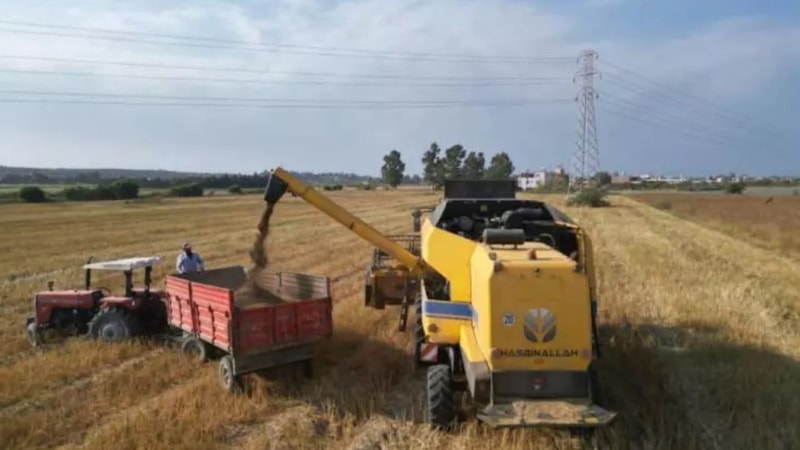 Hasadı başladı: 81 ile gönderiliyor, kilosu 100 TL’den satılıyor